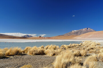 Lake at Atiplano, Bolivia
