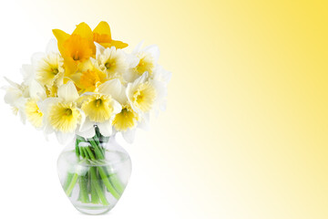 A bouquet of daffodils in a vase, copy space.