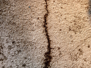 The texture of the old plaster wall with a very unusual beautiful pattern.