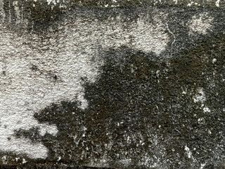 Obraz premium The texture of the old plaster wall with a very unusual beautiful pattern.