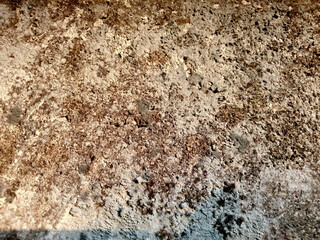 The texture of the old plaster wall with a very unusual beautiful pattern.
