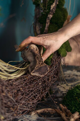 Woman makes home decor from natural materials,hands close-up.The process of making a wreath of twigs,stabilized moss.and leaves.Biophilia design concept.