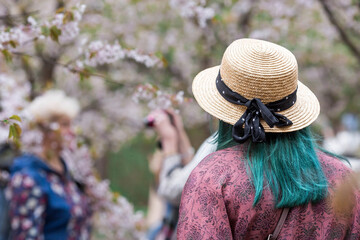 Portrait. A girl in a straw hat in a Japanese garden against a background of cherry blossoms. Cherry blossoms in the garden of the Biryulevsky arboretum. Russia, Tsaritsyno, 2023.