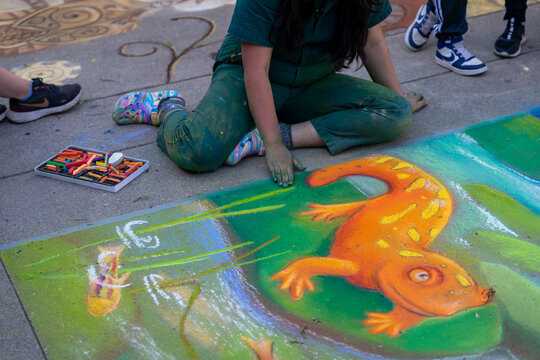 Knoxville, TN, USA 4-1-23: Dogwood chalk walk festival with many artists creating chalk art on the sidewalks.  Beautiful colors and room for copy space.  Street art.