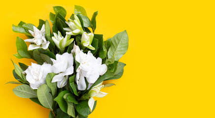 Cape jasmine or garden gardenia flower