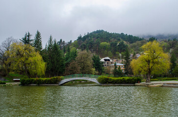Obraz premium lake in the park
