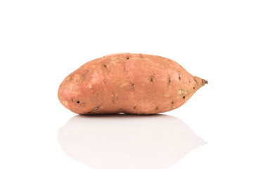 Sweet potato on the white background