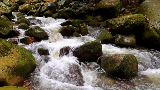 Mountain waterfalls with the rocks in the forest, mid shot, zoom in, slow motion, hd. ProRes 422 HQ.