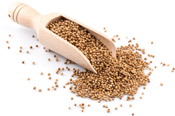 Coriander seeds in wooden scoop