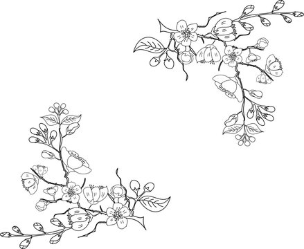 Free hand Sakura flower vector set, Beautiful line art Peach blossom isolate on white background.Branch of cherry blossom for printing on wallpapers and sticker.Japanese flower.Golden line art.