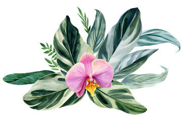 Vintage tropical leaves on isolated white background, watercolor botanical painting, Orchid flower. Colored floral
