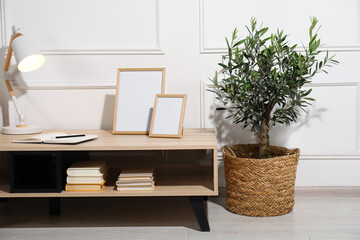 Beautiful young potted olive tree near table in living room. Interior element