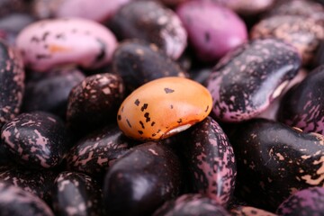 Many dry kidney beans as background, closeup
