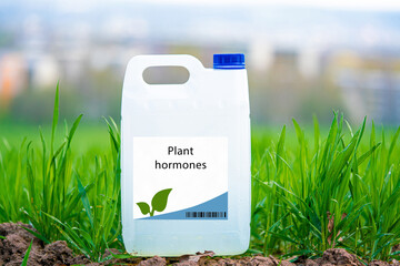 Plant hormones compounds that regulate plant growth and development.