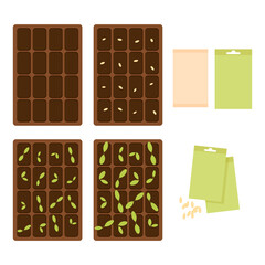 Seed containers and plant sprouts 