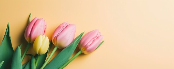 Beautiful composition, bouquet of colorful tulips flowers on pastel yellow background. Valentine's Day, Easter, Birthday, Happy Women's Day, Mother's Day. Flat lay, top view, copy space