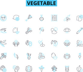 Vegetable linear icons set. Carrot, Broccoli, Cauliflower, Spinach, Beetroot, Onion, Cucumber line vector and concept signs. Mushroom,Bell pepper,Zucchini outline illustrations