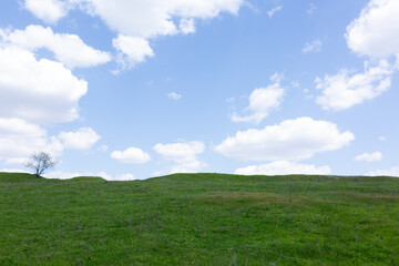 green field and blue sky with light clouds