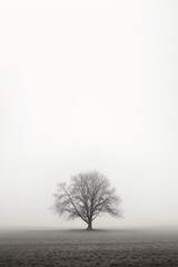 Obraz premium a lone tree stands alone in a foggy field with copy space for text
