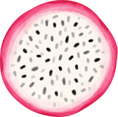 cute  tropical pitaya dragon fruit half cut watercolour hand painting 