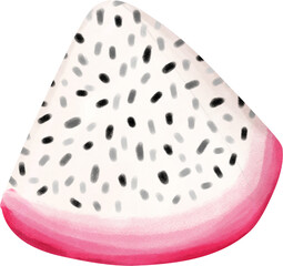 cute  tropical pitaya dragon fruit quarter cut watercolour hand painting 
