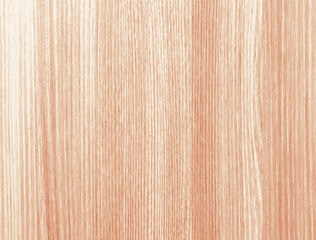 A spectacular image of a wood texture, a beautiful background, for outdoor advertising, design, text, printing, booklets, business cards, etc.