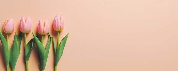 Beautiful composition, bouquet of colorful tulips flowers on pastel pink background. Valentine's Day, Easter, Birthday, Happy Women's Day, Mother's Day. Flat lay, top view, copy space