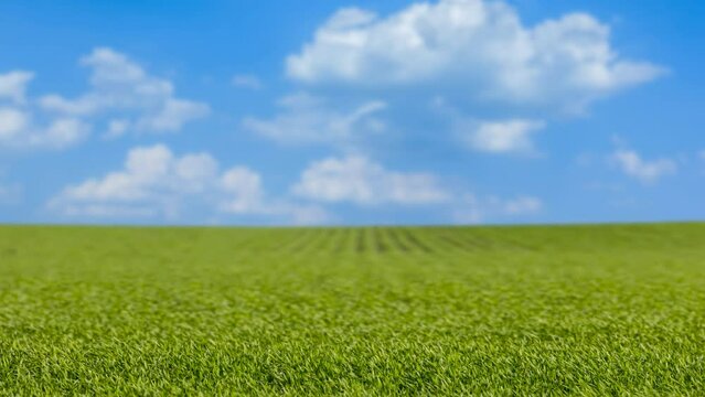 green farm field under a dense cumulus clouds, spring countryside background time lapse scene