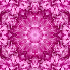 Decorative panel of pink chrysanthemum flower