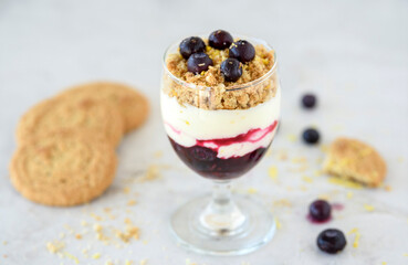 Blueberry and Lemon Cheesecake