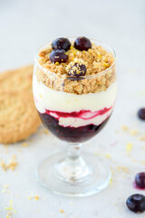 Blueberry and Lemon Cheesecake