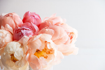 Beautiful bouquet of fresh coral peony flowers in full bloom, close up. Floral still life with blooming peonies.