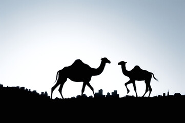 Camel trekking in the desert sand dunes