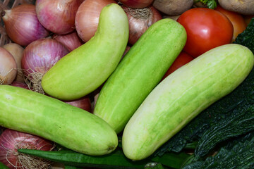 Vegetables, Onion, Bitter gourd, Cucumber, Tomato, Lady,s finger and green coriander (cilantro) leaves
