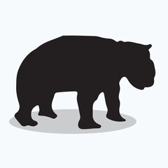 Wombat silhouettes and icons. Black flat color simple elegant Wombat animal vector and illustration.