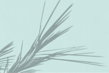 Natural light casts shadows from palm branch on a textured blue background. Mock up with an overlay of plant shadows