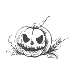 Vector hand drawn Halloween  Illustration. Detailed retro style hand-drawn  scary pumpkin sketch isolated on white background. Vintage sketch element for labels, packaging and cards design.