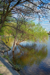 Trees reflected in the water. High water in Kyiv, spring 2023, Ukraine. Residential high-rise buildings in the background against blue sky. Water channel near Rusanivka neighborhood. Flooding