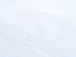 snow covered background