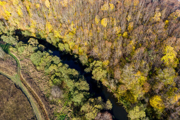 Autumn forest on the bank of a small river, aerial view. Nara River, Russia