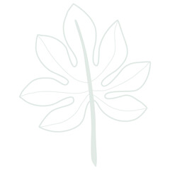 Line art leaf 
