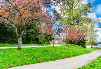 Lake Washington Boulevard Flowers 2