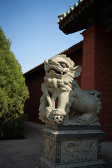 Obraz premium chinese lion statue