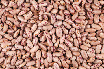 Rajma Chitra (Speckled Kidney Beans, Spotted kidney beans)