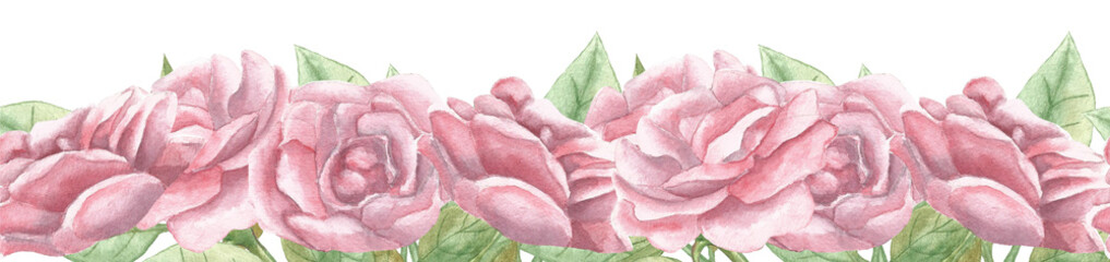 Floral banner decorated with gorgeous rose roses. Botanical illustration on white background with rose roses. Watercolor Illustration.