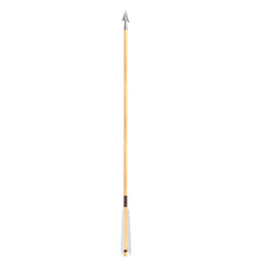 3D rendering illustration of an archery arrow