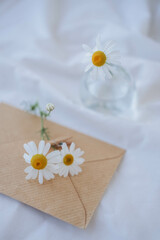 Obraz na płótnie Canvas Chamomile flowers in a glass vase on a white background