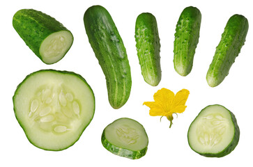 Green whole raw cucumber, round slice and flower set isolated on white background