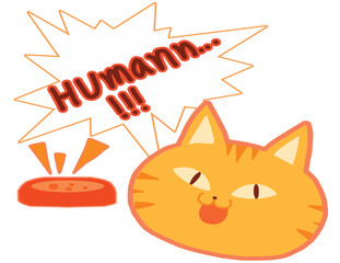 Ginger cat want some food from human