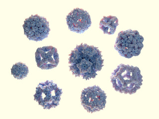 Protein nanoparticles, virus-like particles, ferritins, enzyme complexes, 